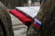 Vojenský nástup pri príležitosti 24. výročia vzniku Slovenskej republiky
