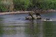 Trebišovskí tankisti prekonali vodnú prekážku na Lešti 8